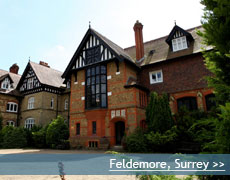 feldemore, surrey